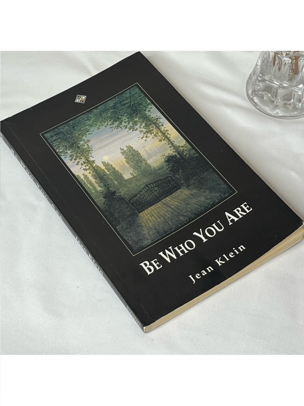Be Who You Are by Jean Klein Paperback Book Soft Cover Self Help New Age
